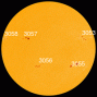 [Photo courtesy of NASA SDO/HMI] New sunspot AR3058 is crackling with M-class solar flares.