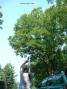Antenna being launched with my air operated "Spud Gun"