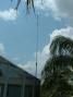 R5 10 FEET UP AT K8FK'S QTH