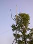 I used the homemade dipole that is under the yagi array.