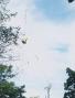 North Shore RC VHF/UHF and Rotor atop Bucket Truck