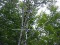 50 MHz beam below with 144/220/440 triband log periodic above, well below the tree line!