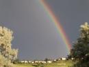 OK, so the rainbows were a distraction...