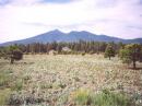 View from US 180 north of Flagstaff of the San Francisco Peaks with 12,633 ft Humphreys Peak on the left and 12,356 ft 

Agassiz Peak on the right.  Agassiz is home to the Arizona Snow Bowl ski area with the chairlift going up to 11,500 ft.  

One of the other contesters operated from here.  Unfortunately the Forest Service does not permit hiking past the 

chairlift due to fragile tundra.  Otherwise, this would be a great way to bypass lots of trail and elevation gain and 

make the hike to the top of Arizona a lot easier.