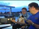 Dave Harmon, N0TPQ (holding Bandit) and Todd Butler, N0NCL at the microphone at sunset on the southern shore of Gray's Lake Park, in Des Moines, Iowa.