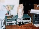 Goldie the cat keeps our Heathkits purring - Karl Zuk N2KZ