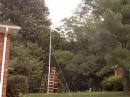 A homebrew Moxon Rectangle for 15m sitting atop a 26 foot tall "plumbers delight" tower made from PVC tubing served us well.