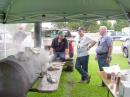 The great cook, J.R. Aarons-K5SUB, on the far right is assisted by John-KB5RBY, Mike-AD5OG and Hollis-KA5JNE. 
A great cook helps make for a successful Field Day.