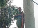 CO2OY installing one of the ends of the 20m dipole on a palm tree