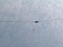 The 20m dipole is up.