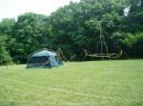Vertical Dipole on one side of the tent. The ladder line feeding the doublet is just visible in front of the tent.