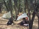 Campsite for KQ5RP

The tarp was great for keeping the sun off, yet allowing the occasional breeze in.