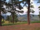 The Betasso Preserve Field Day site west of Boulder, CO at 6700' and looking to the North.
