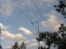 GOTA Yagi