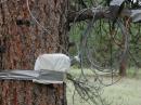 Waterproofed 100mb local Network Hub