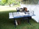 Would you like to send a radiogram? Just ask!