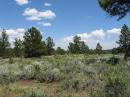 The site for the big Vee - the trees at the edge of the photo held the far ends, and the view looks ENE toward New England.  All that sagebrush was fun to string magnet wire through.