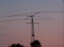 TRI-BANDER IN THE SUNSET.