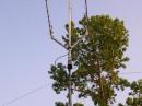 I used the homemade dipole that is under the yagi array.