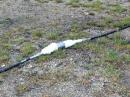 Our hi-tech antenna connector waterproofing system - duct tape and shopping bags!