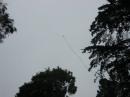 The 20M dipole at nearly 50ft