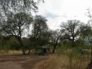 Here's the whole operation! Transportation, overnight accomodations, and most importantly, communications. The parallel 40/20 dipole, about 30 feet up in the trees and fed with ladder-line, tuned well on 80 thru 15.
Note the Chuck Wagon disguised as a 1992 Jeep Cherokee.