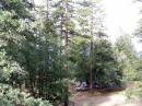 Our operating site which attracted the wildlife.