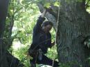 Still Michel (VE2MPQ) but up in a big maple tree.