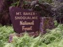 The Mount Baker Snoqualmie National Forest is a popular location for recreational activities, including Field Day!